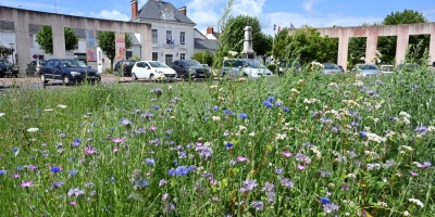 Fleurs place Charles-de-Gaulle