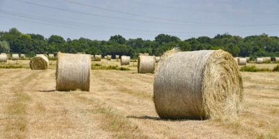 balles de foin