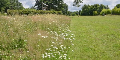 parc Joseph Bricaud