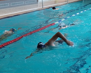 Nageurs dans le grand bassin de la piscine Baptiste-Lefèvre